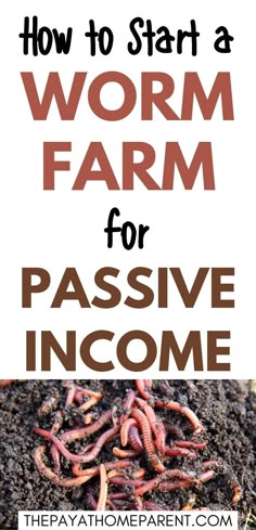 worms in the dirt with text overlay how to start a worm farm for passive income