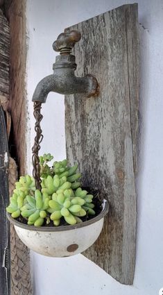 an old faucet hanging from the side of a building with succulents in it