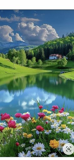 a lake surrounded by lush green hills and flowers