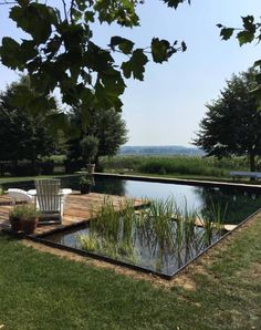 an empty pool in the middle of a grassy area with chairs and plants around it