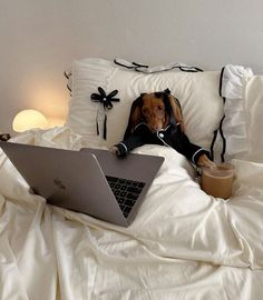 a dog laying in bed with a laptop on it's lap and looking at the camera