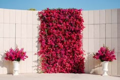 three white vases filled with pink flowers next to a wall