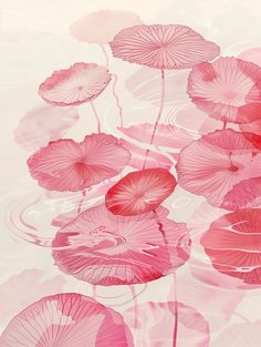 pink water lilies floating on top of a body of water