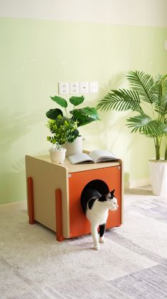 a black and white cat standing in an orange box next to a potted plant