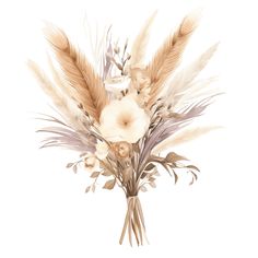 a bouquet of white flowers and feathers on a white background with watercolor paint effect