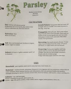 a paper with some type of information about parsley on it's back side