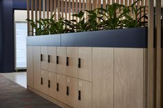 an office with wooden cabinets and plants in them