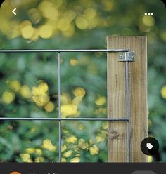 an image of a wooden fence with green bushes in the back ground and yellow flowers on the other side