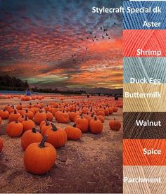 there are many pumpkins in the field with different colors and patterns on them,