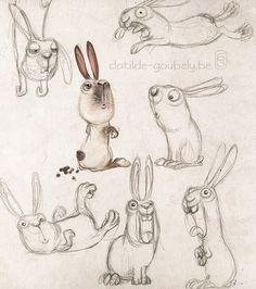 some drawings of rabbits and other animals