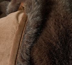 closeup of the fur on an animal's back and side end of a couch