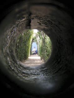 the tunnel is filled with trees and cars