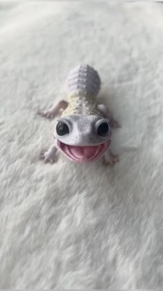 a small gecko with big eyes and a smile on it's face sitting on a white blanket