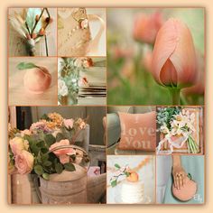 a collage of pictures with flowers and other things