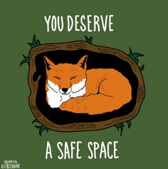 an orange fox sleeping in a wooden frame with the words, you deserves to be safe space