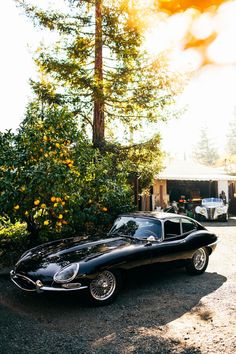 an old black car parked in front of some trees and oranges on the ground