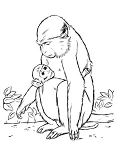 a monkey and its baby are sitting on the ground coloring pages for kids, free printable