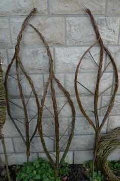 three branches are arranged in front of a brick wall