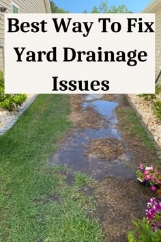 the best way to fix yard drainage issues