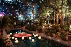 candles are lit in the middle of a pool surrounded by greenery and trees at night