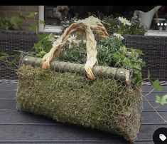 a basket filled with plants sitting on top of a wooden table