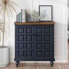 a black cabinet sitting next to a potted plant on top of a hard wood floor