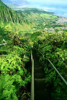 stairs lead down to the top of a lush green mountain