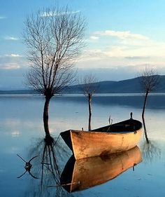 a boat floating on top of a lake next to a tree in the middle of it