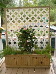 a potted plant sitting on top of a wooden table in front of a white trellis