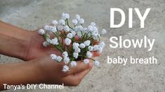 someone holding flowers in their hands with the words diy slowly baby breath on it