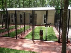 a dog is sitting in the yard behind a fence