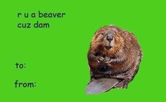 a beaver sitting on top of a green background