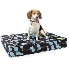 a dog sitting on top of a bed with an apple print pattern and tongue sticking out