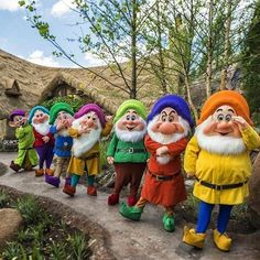 seven dwarfs are lined up on the path