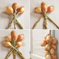 four pictures of onions hanging on the wall, and then being pulled up with string