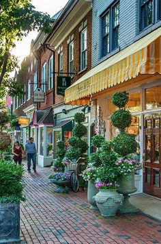 people are walking down the sidewalk in front of shops and flower pots with flowers on them