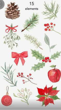 watercolor christmas clipart set with pine cones, holly and poinsettis