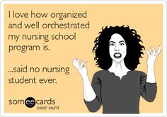 I love how organized and well orchestrated my nursing school program is. ...said no nursing student ever. Pinterest Problems, Pinterest Humor, Serenity Prayer, School Programs, Dad Quotes, Healthy Summer, Nurse Humor, E Card, Someecards