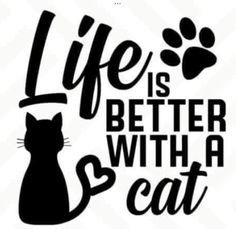 a black and white photo with the words life is better with a cat on it