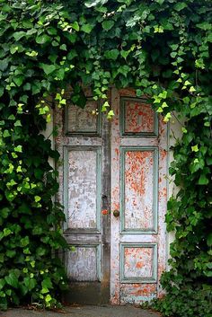 an old door is surrounded by vines and leaves