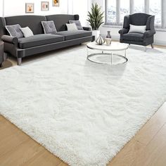 a living room filled with furniture and a white rug