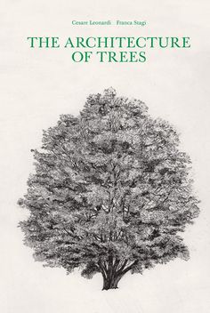 the architecture of trees by oscar lonscotti, prince stigg and john o'connor