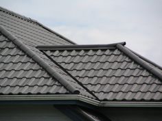 a bird is perched on the roof of a house