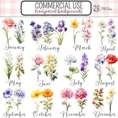 watercolor flowers with the words commercial use in each letter, and an image of them