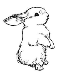 a black and white drawing of a rabbit sitting on its hind legs, looking up