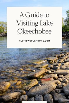 a guide to visiting lake okeechobee with text overlay that reads, a guide to visiting lake okeechobee