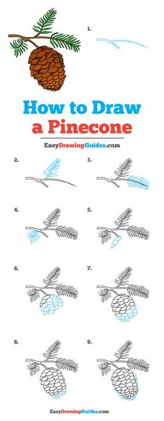 how to draw a pine cone for kids