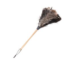 a feather duster on a white background