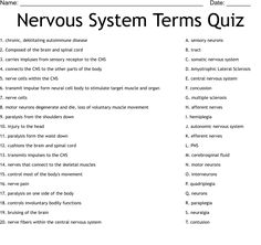 the nervous system terms quiz is shown in black and white, with text below it