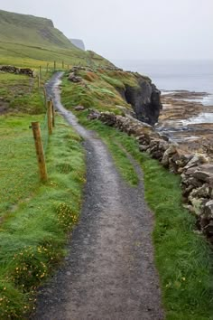 a path leading to the ocean on a foggy day with green grass and yellow flowers